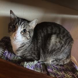 Photo for 156124 [Buddy]