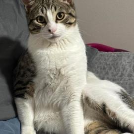 Photo for 156185 [Kefer]