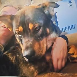 Photo for 156187 [Hel]