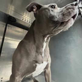 Photo for 156191 [380596]