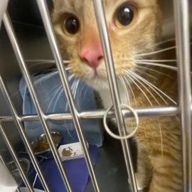 Photo for 156193 [380601]