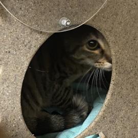 Photo for 156195 [380602]