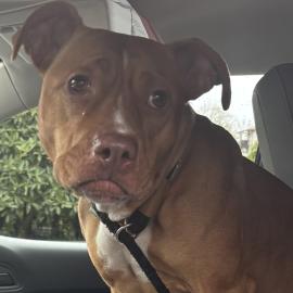 Photo for 156197 [380604]