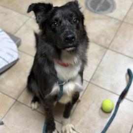 Photo for 156201 [380612]