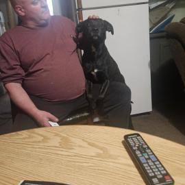 Photo for 156234 [JOOSE]