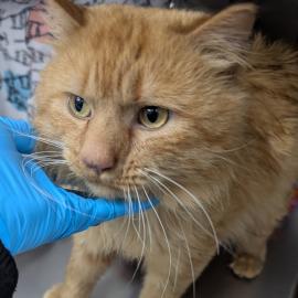 Photo for 156366 [380866]