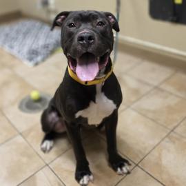 Photo for 156376 [Maniac Magee]