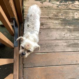 Photo for 156382 [Unknown ]