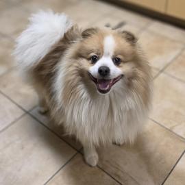 Photo for 156388 [380991]