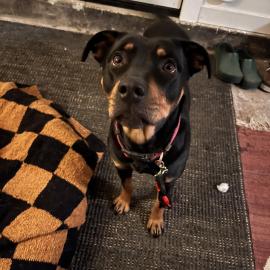 Photo for 156394 [fr156394]