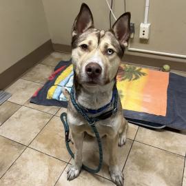 Photo for 156402 [381012]