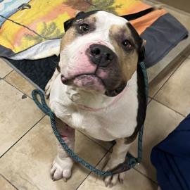 Photo for 156428 [381030]