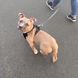 Photo for 156444 [Kurby]