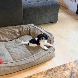 Photo for 156456 [Tuby]