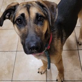 Photo for 156482 [Keks]