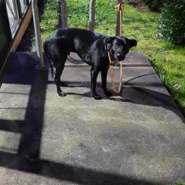 Photo for 156491 [fr156491]