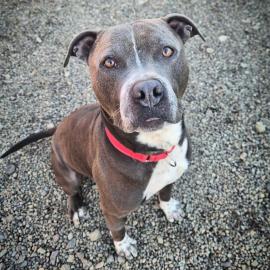 Photo for 156511 [Eeyore]