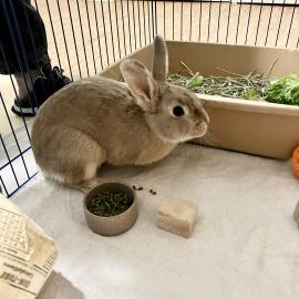 Photo for 156527 [fr156527]