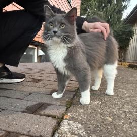 Photo for 156537 [fr156537]