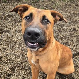 Photo for 156606 [381251]