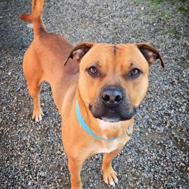 Photo for 156672 [Remington]