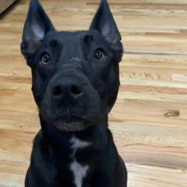 Photo for 156774 [381486]