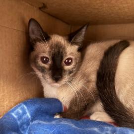 Photo for 156804 [381579]