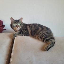 Photo for 157007 [Soosie]