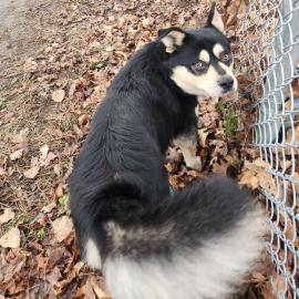 Photo for 157053 [382112]