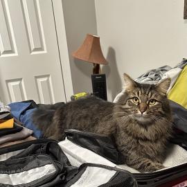 Photo for 157128 [Bernie ]