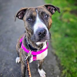 Photo for 157130 [Claire]