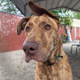 Photo for 157138 [Cinco]