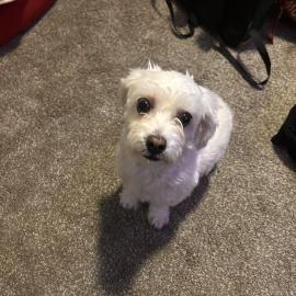 Photo for 157144 [fr157144]