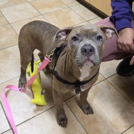 Photo for 157162 [382460]