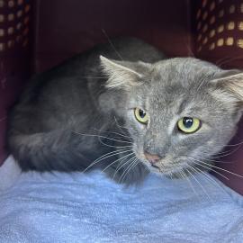 Photo for 157166 [382463]