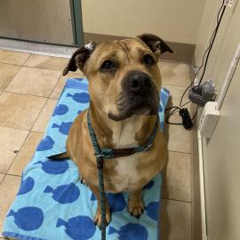 Photo for 157171 [382477]