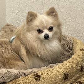 Photo for 157183 [382517]