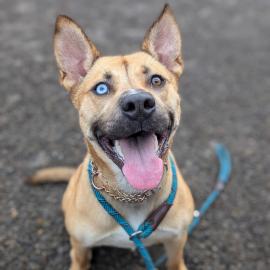 Photo for 157218 [Mimi]