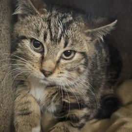 Photo for 157223 [382615]