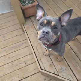 Photo for 157227 [fr157227]