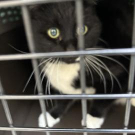 Photo for 157229 [382616]