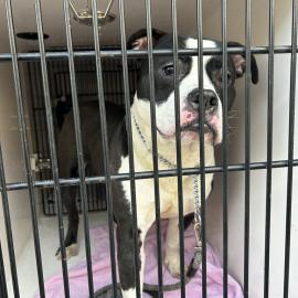 Photo for 157238 [382623]