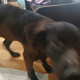 Photo for 157246 [fr157246]