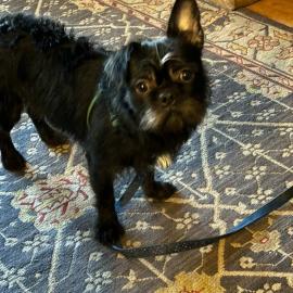 Photo for 157257 [fr157257]