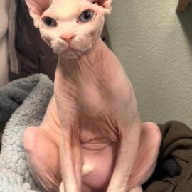 Photo for 157259 [Hugo]