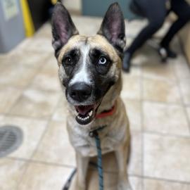 Photo for 157265 [Kingston]