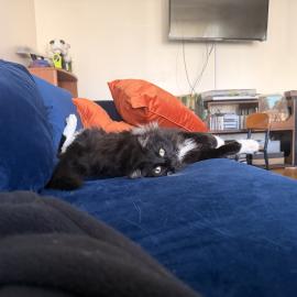 Photo for 157267 [Gregory Kyle]