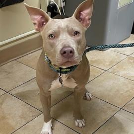 Photo for 157269 [Jo-C Rae]