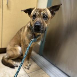 Photo for 157276 [382654]