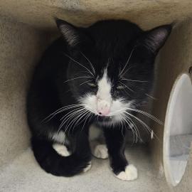 Photo for 157280 [382657]